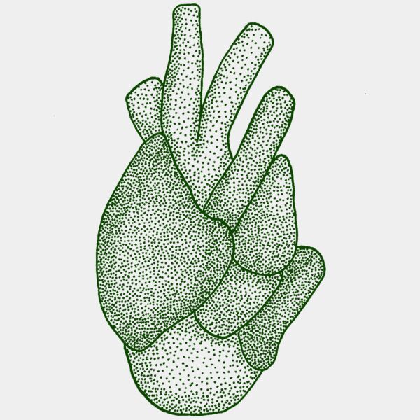 Crocodile Pocket Thumbnail