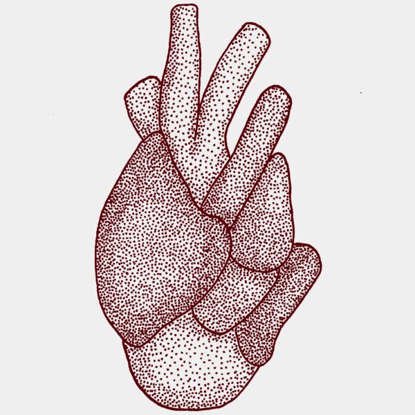 Crocodile Pocket Pistachio Thumbnail