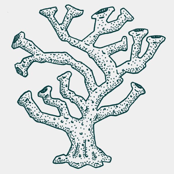 Let the mermaids flirt with me  Rose pocket  Thumbnail